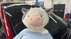 Hyundai IONIQ 5 168kW Ultimate 84 kWh 5dr Auto Electric Hatchback